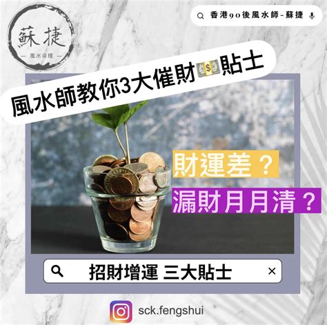 櫻花風水|種櫻花招財？風水師教你妙招